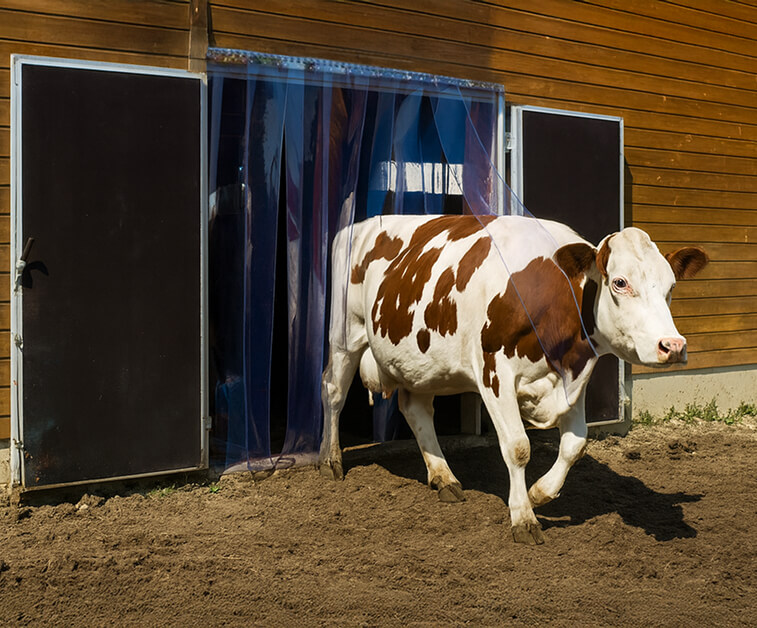 PVC agricultural curtains